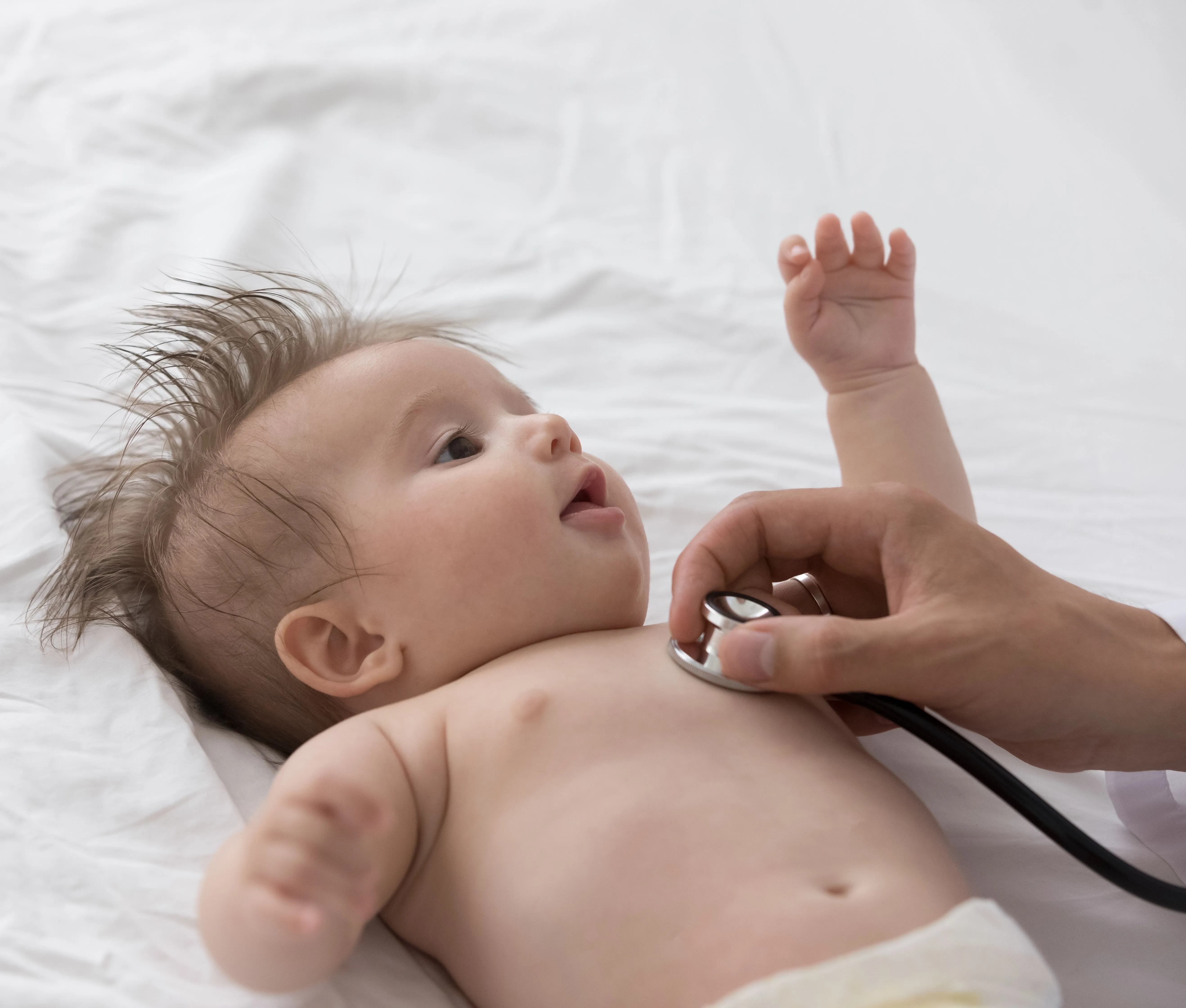 Somerset Clinic Team